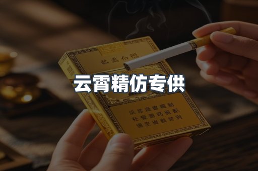 云霄精仿专供